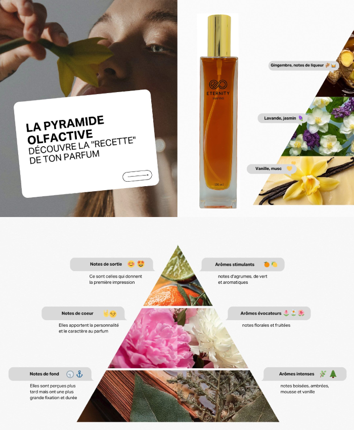 Notes olfactives. Parfumerie Dakar