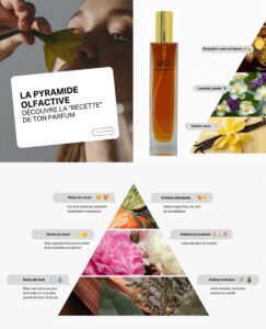 Notes olfactives. Parfumerie Dakar